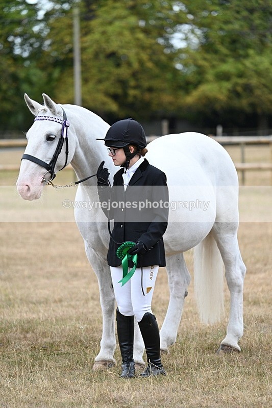 WJ7_9283 - Class 4a Prettiest Mare 14.2hh and over