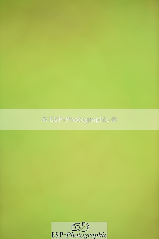 240523B-104154-01818 - 4 Year Old