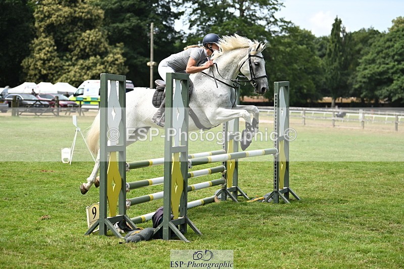 250704A-113833-07319 - Cls 25 Snr British Novice and 90cm