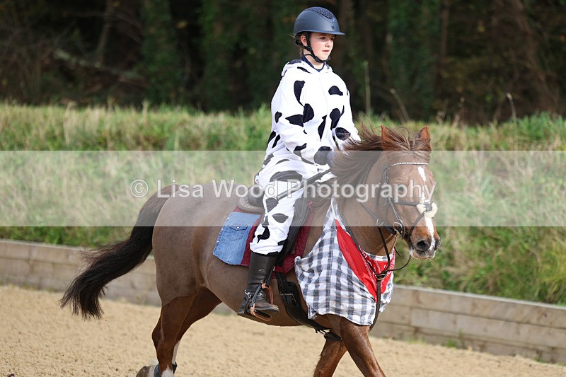 3E7A0137 - Class 5: 85cm