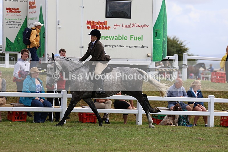 3E7A0635 - Rising Star Ridden Championship