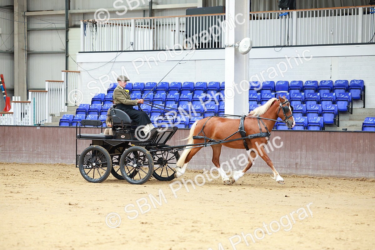 SBM_000663 - Class 11 - Peter Howell Memorial Gentlemen Whip