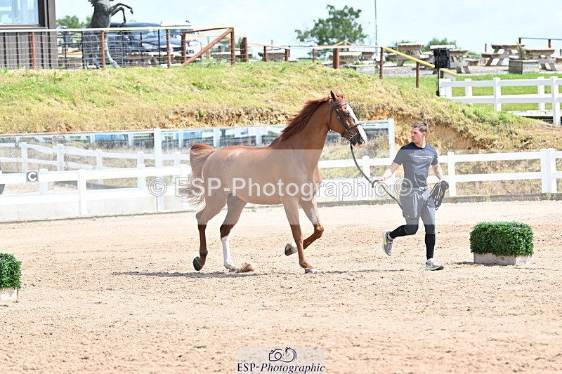 240717A-145847-02387 - Trot Up 2pm to 3pm - This folder is not in time order
