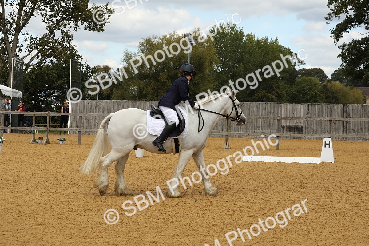 SBM_41862 - D21 - Junior Championship - Intro A