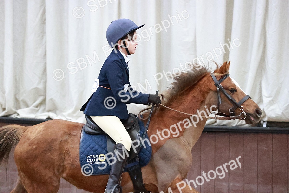 SBM_000558 - Class 2 - Show Jumping 50cm