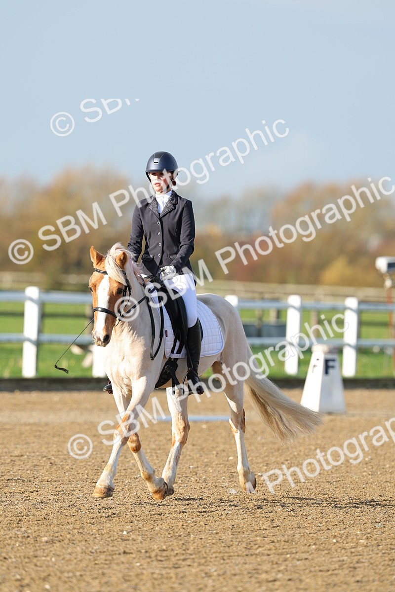 SBM_003001 - Class 2 - Intro 3