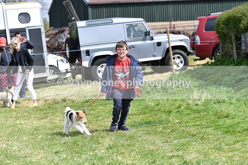 WJ5_0364 - Class 7 Best Terrier