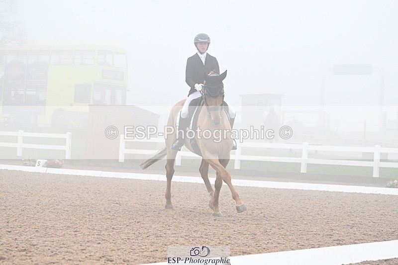 240217A-131036-02761 - 271-Tom.Carter-Rubin.Regal