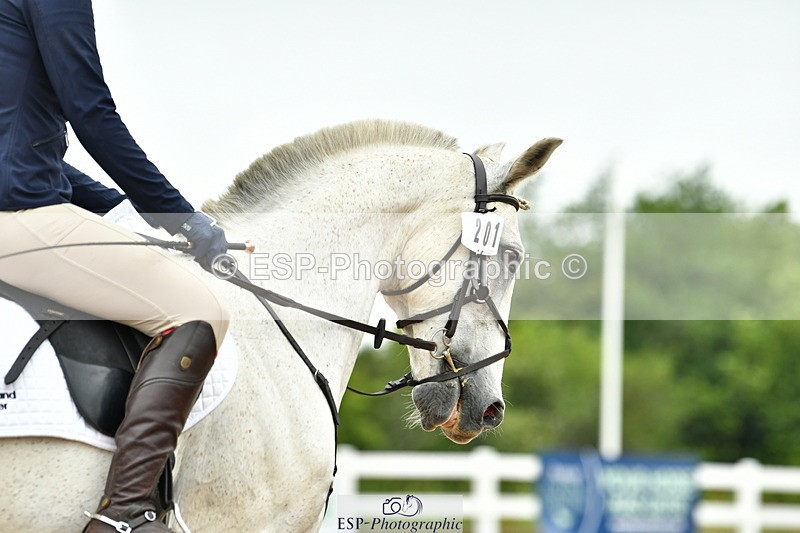 230708A-103103-02311 - Prelim 13