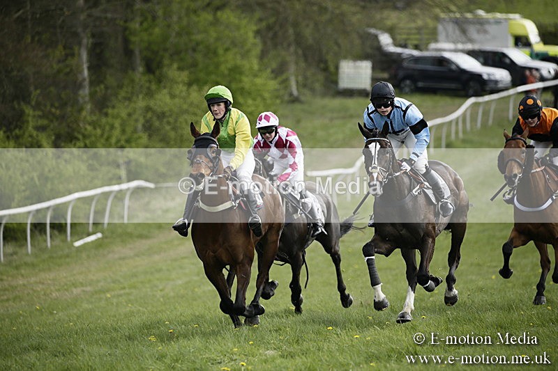 PtP 170417 319 - Old Berks Point-to-Point Lockinge 17/04/17