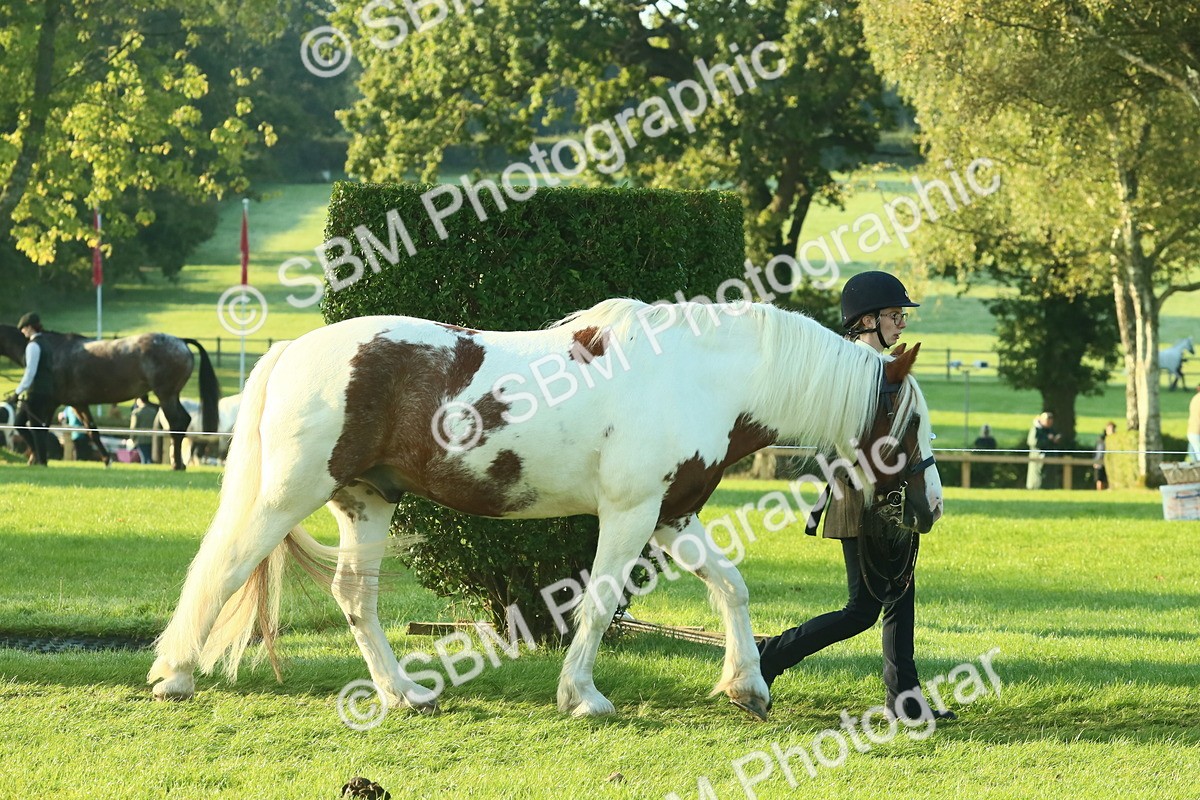 SBM_57320 - S37 - Starters In Hand Showing