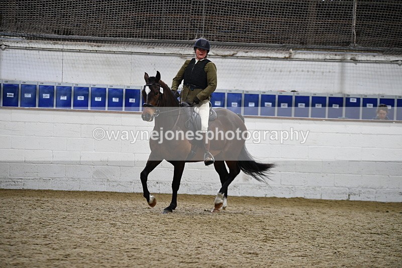 WJ5_7951 - Class 13 Ridden Part Breed