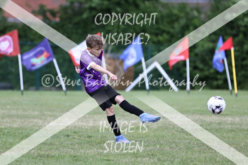 1DX31296 - Brook Field V Goddard Park