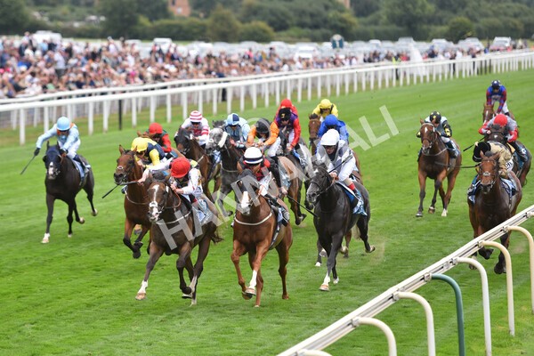 yr18082022r3-33 - Race 3 3.00pm Clipper Logistics Stakes