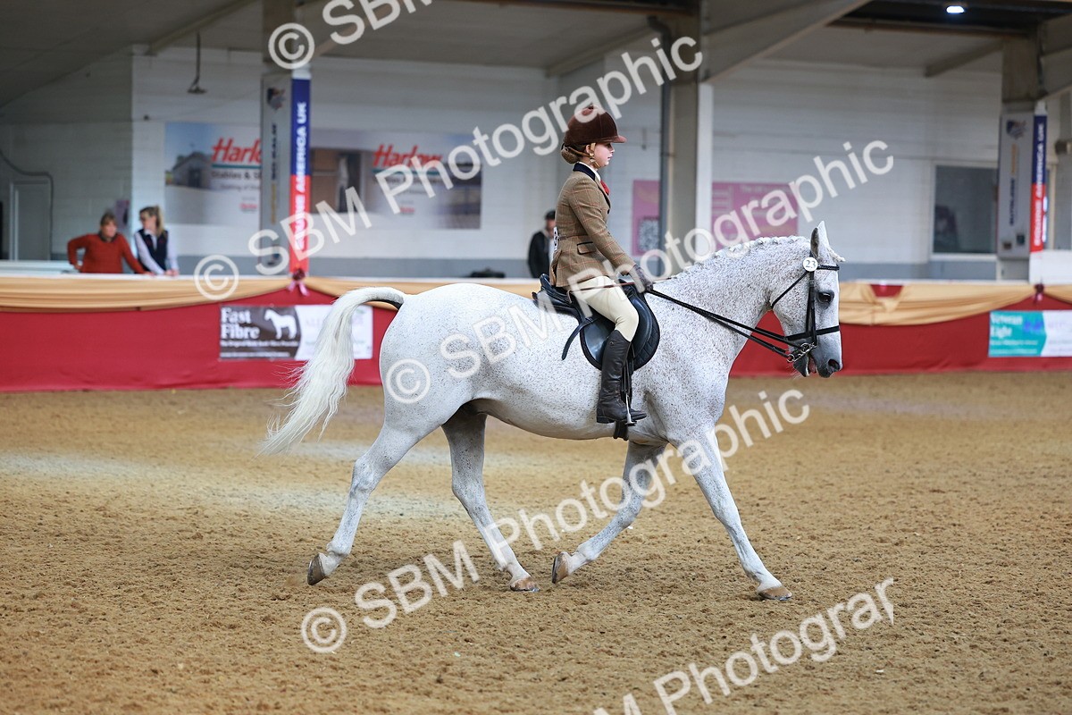 SBM_09499 - Class 102 - HOYS Veteran Qualifier - Ridden Veteran