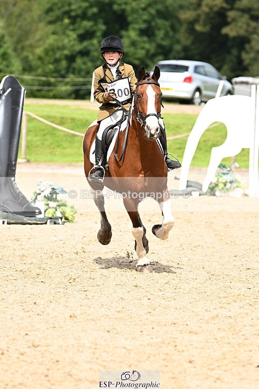 240824X-124453-25609 - 70cm Jump Off