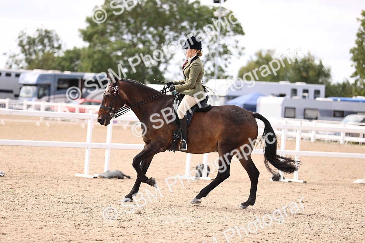 SBM_12944 - Class 410 - Grassroots Ridden - Horse