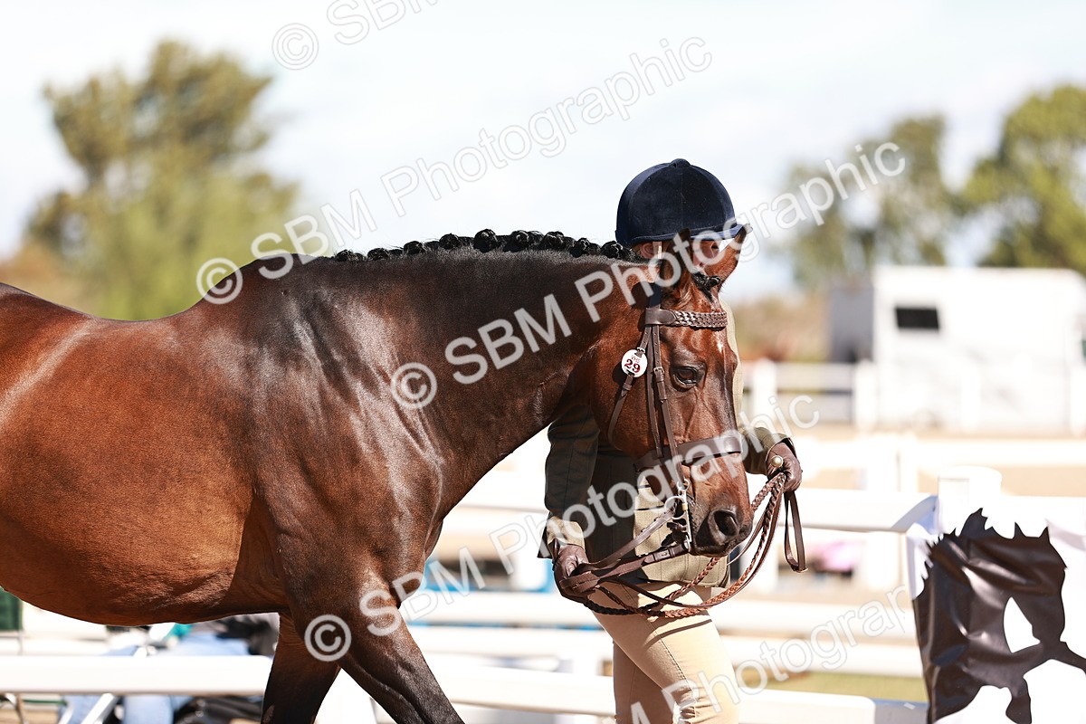 SBM_13267 - class 406 - IH Hunter
