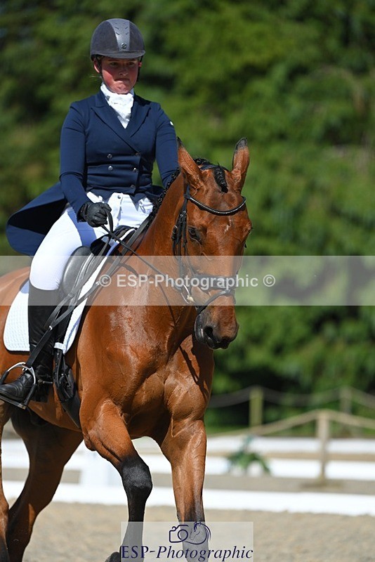 230526-160653-07273 - 253-MY_EASTWOOD_BRIGHTSIDE-Darcy_Zander-WEDTrotUp+DR