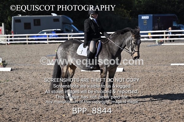 BPP_8844 - LONG ARENA