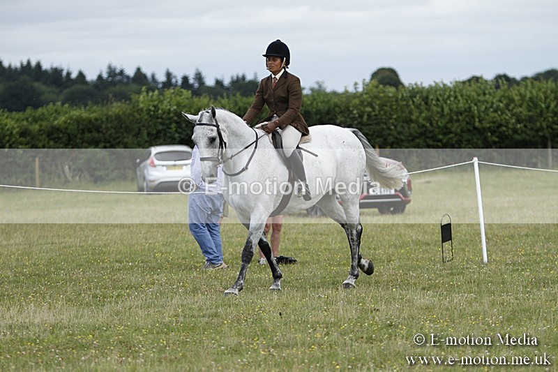 BVR160717-1790 - Ring 3 BVRC Show 16/07/17