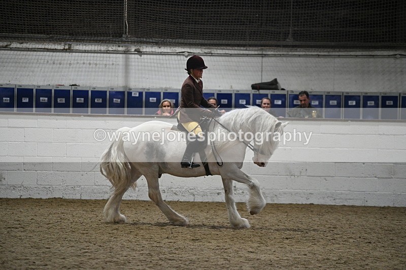 WJ7_4205 - Class 17 Ridden Cob