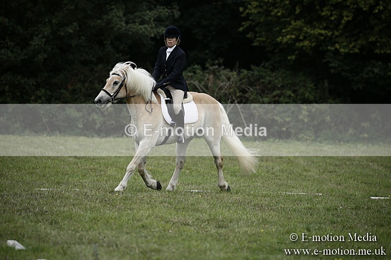 BVR090918 79 - BVRC Dressage and Show Jumping 09/09/18