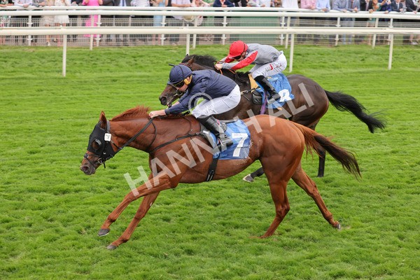 yr20082021r7-29 - Race 7 5.10pm Sky Bet Mile