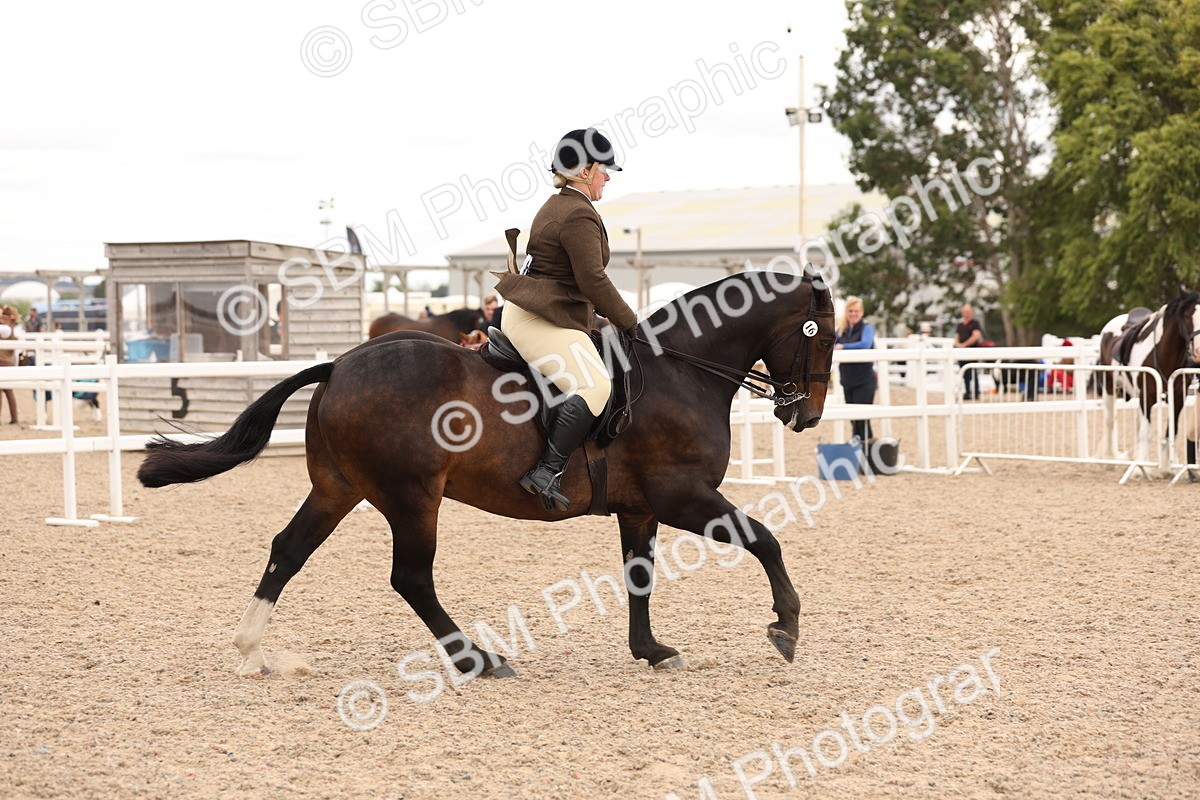 SBM_19533 - Class 215 - Ridden Show cob
