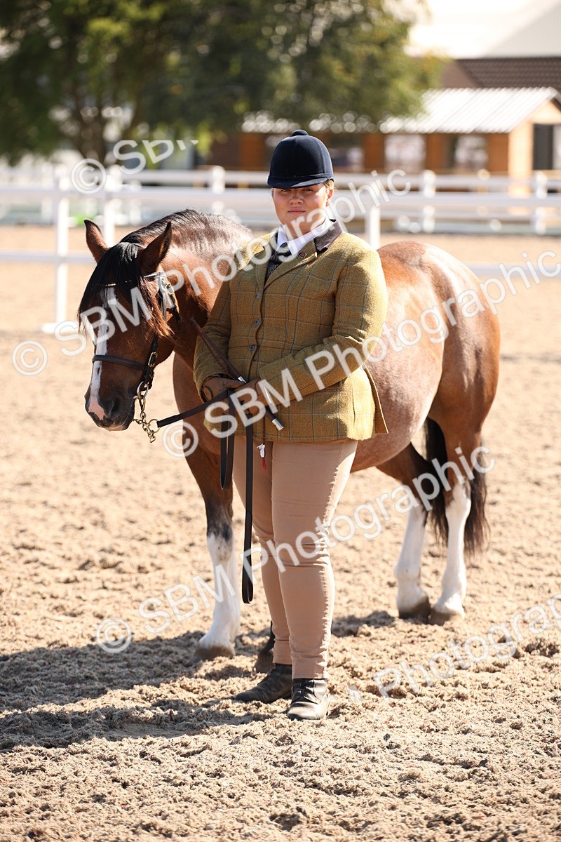 SBM_02735 - Class 16 IH M&M Wildcard