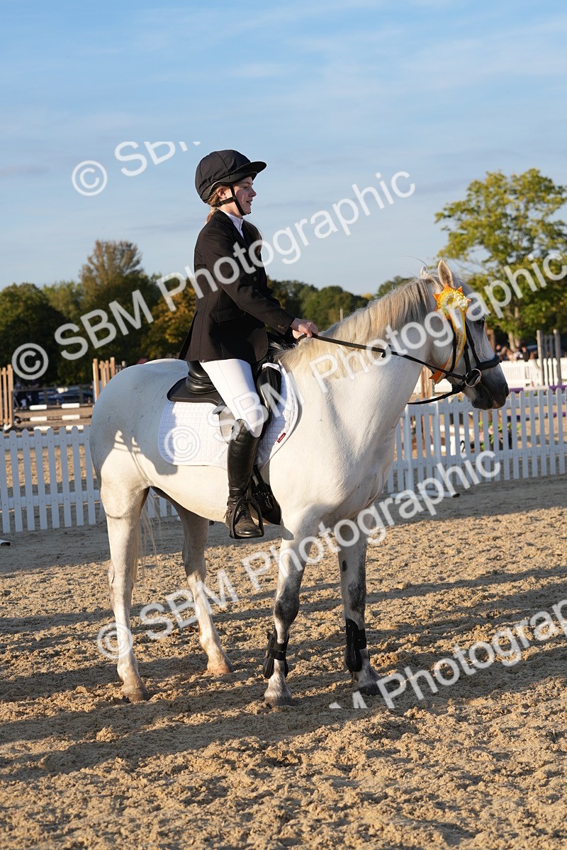 SBM_54336 - J23 - Junior Horse 70cm Championship