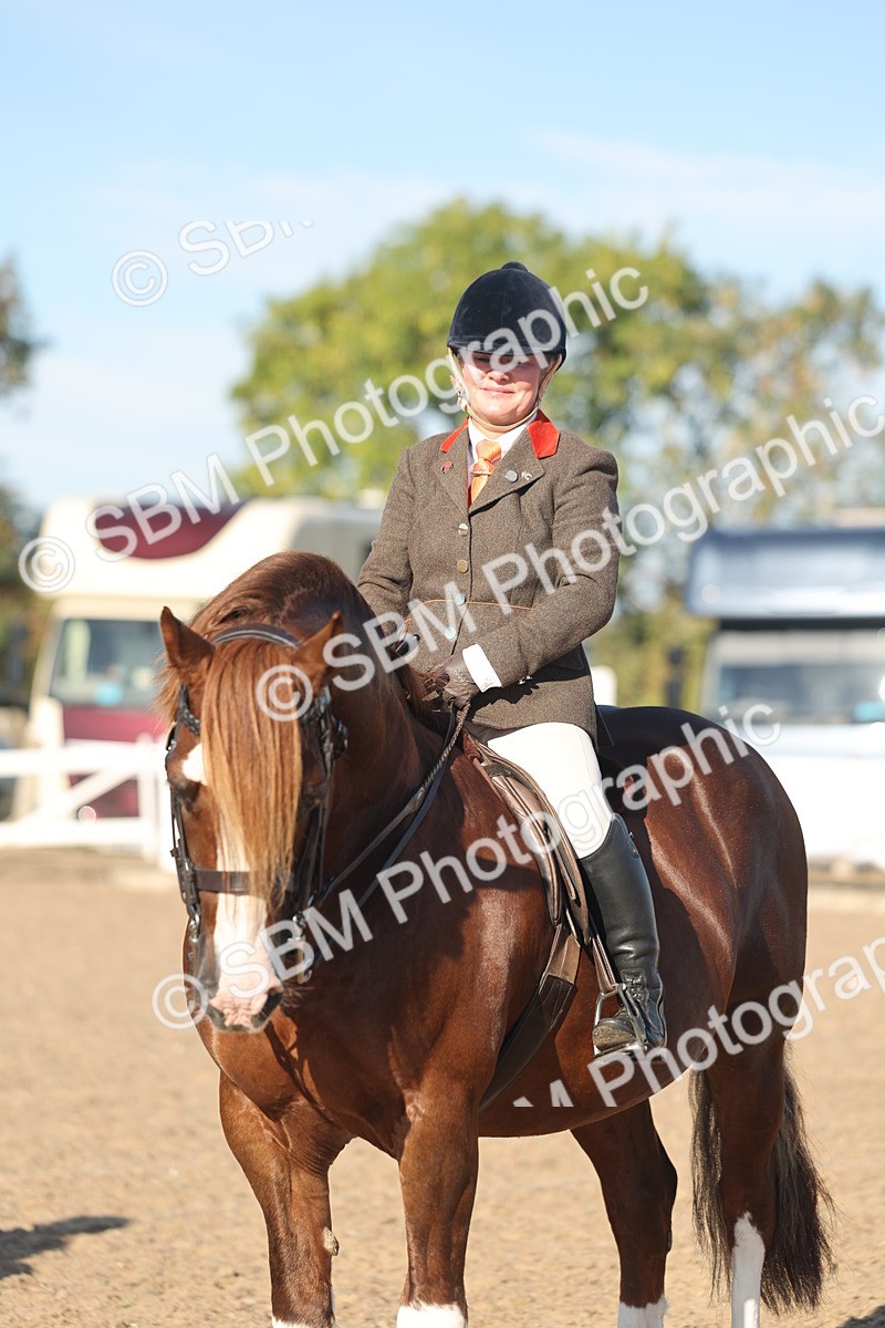 SBM_11070 - Class 302 - Ridden M&M Large Breeds