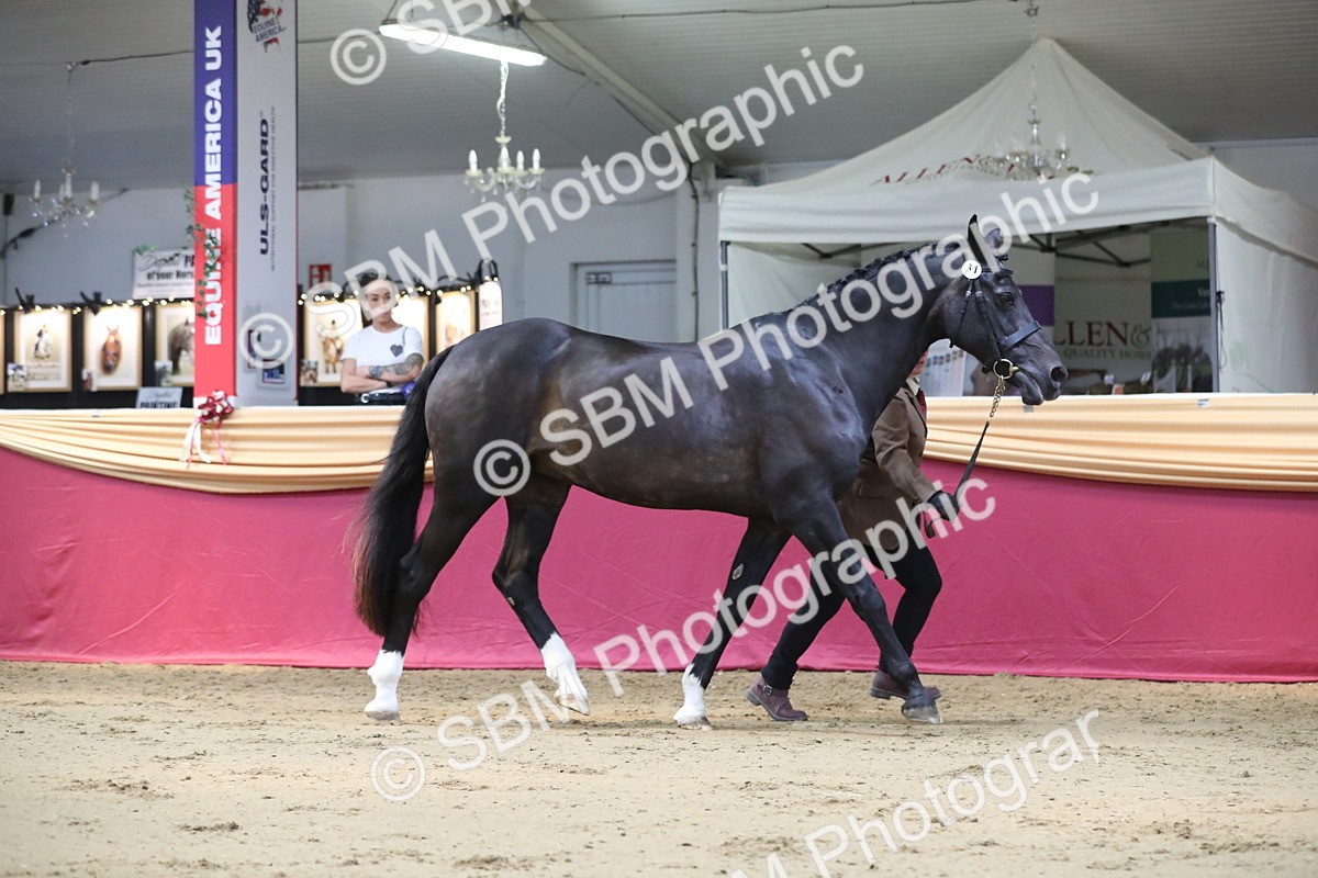 SBM_04401 - Class 7R Regional - IH Diamond