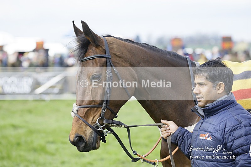 PtP 060322 201 - Blackmore & Sparkford Vale Hunt PtP 06/03/22