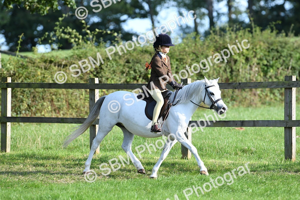 SBM_54011 - S23 - 1st Ridden Mountain & Moorland Pony