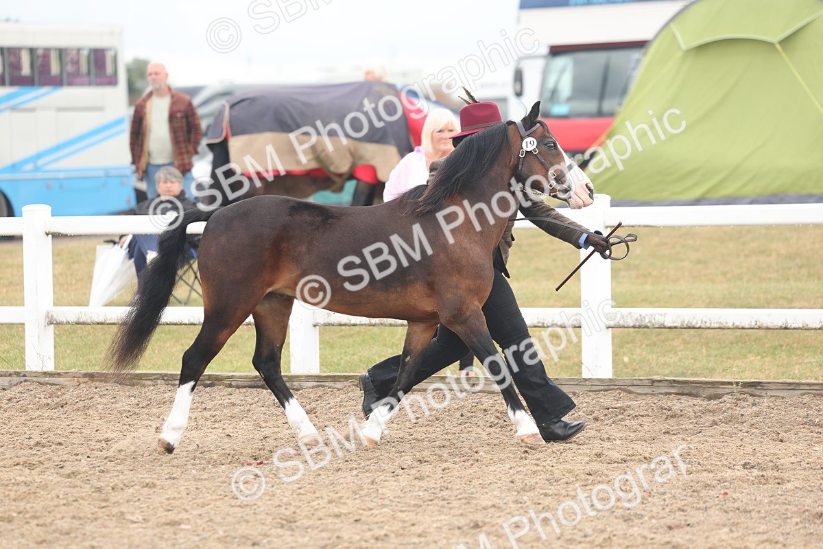 SBM_08424 - Class 29 - IH Veteran Pony