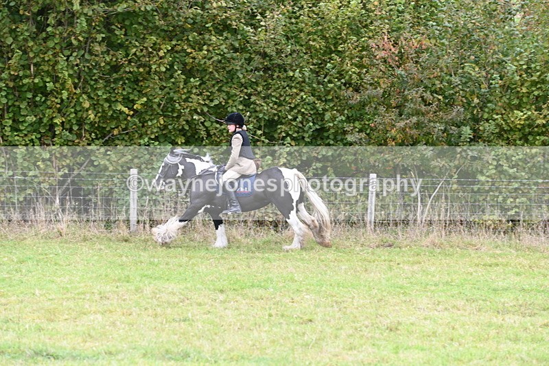 WJ6_0811 - Camera 2 Line 1