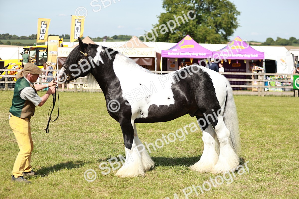 SBM_08858 - Class 63-65 - Traditional Gypsy Cobs In Hand & Ridden