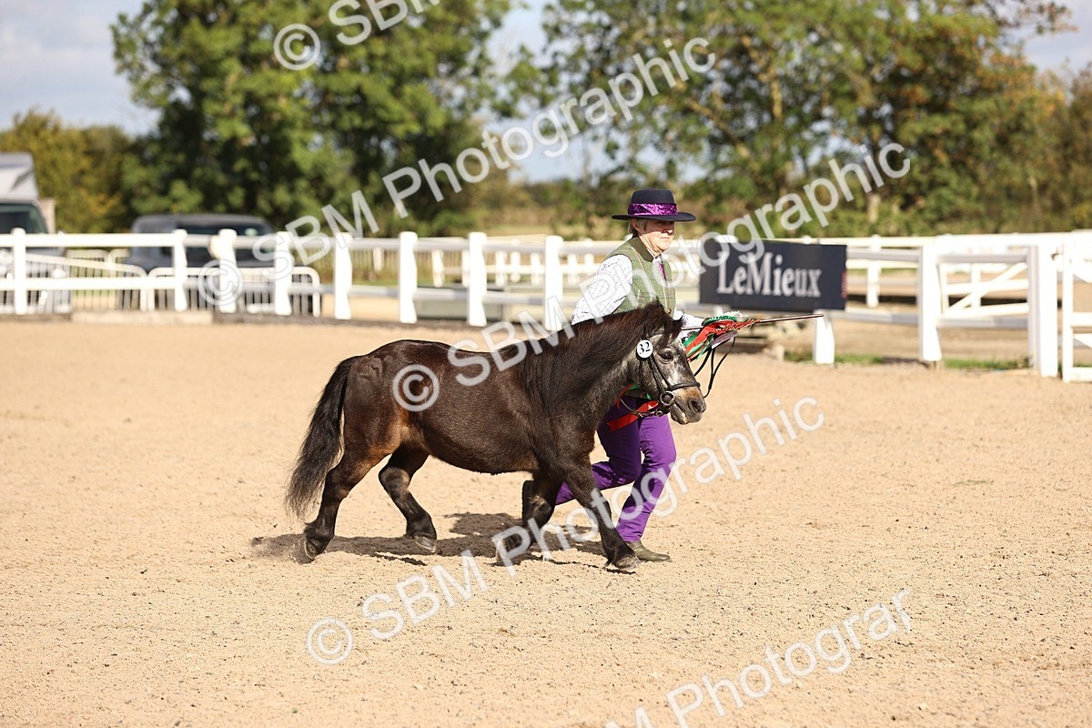 SBM_08561 - Class 402 - IH Veteran Pony