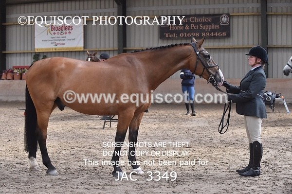 JAC_3349 - CLASS 8 BHS Scotland Riding Club Working Hunter Qualifier