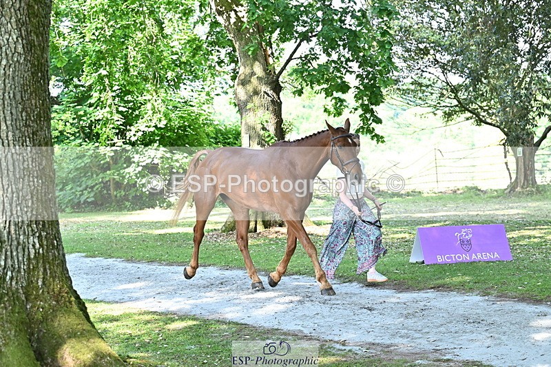 250521A-161220-00980 - C-260-Georgie.Frow-RIVERSTOWN.ROYAL