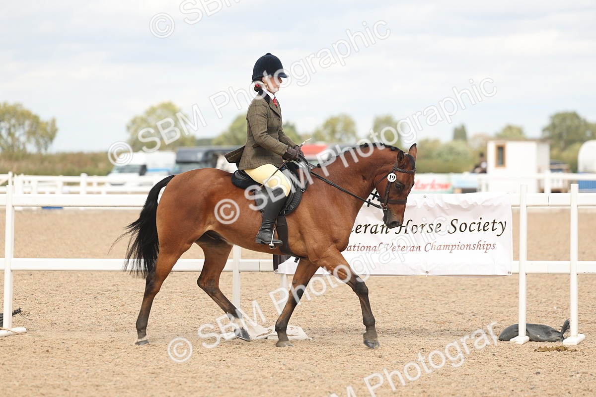 SBM_15957 - Class 311 - Ridden Show pony-Show hunter Pony