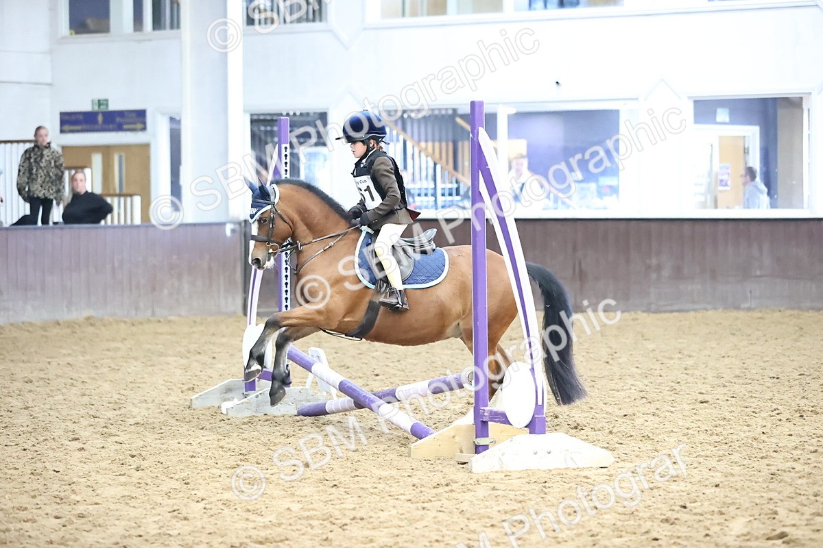SBM_000264 - Class 2 - The Rug Lady 40cm Area 12 Championship Qualifier