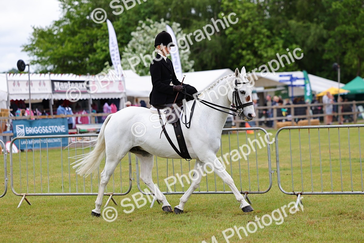 SBM_02715 - Class 9-11 Side Saddle including LIHS Rising Star Ladies Show Horse