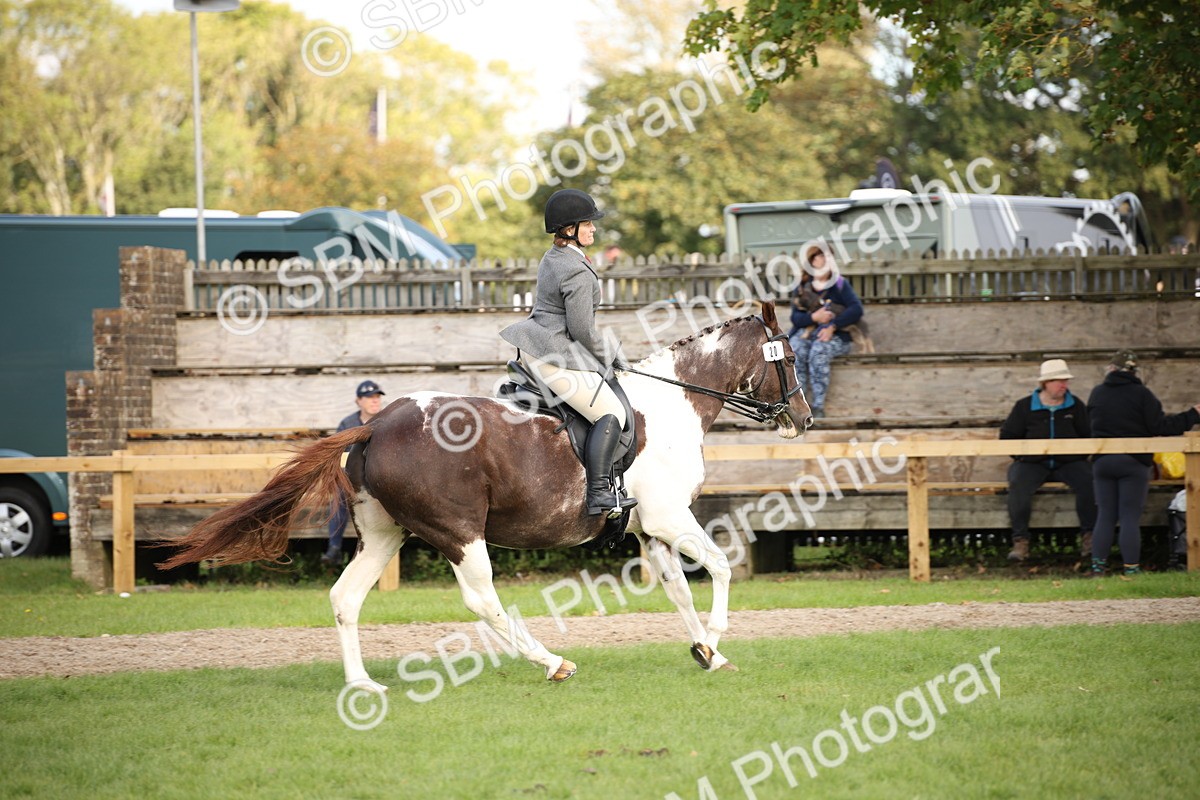 SBM_50192 - S26 - Young Veteran - Ridden