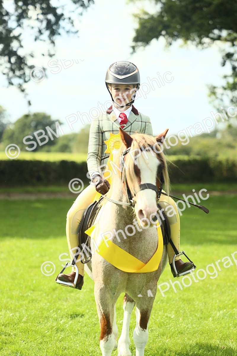 SBM_44964 - Working Hunter Pony Supreme Championship