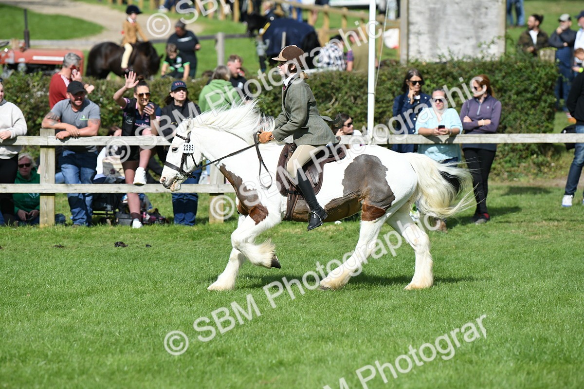 SBM_47017 - S12 - Family Horse & Pony
