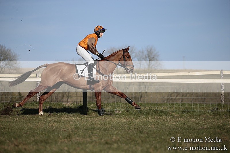 PtP 240218 466 - Vine & Craven Hunt Point-to-Point Barbury racecourse 24/02/18