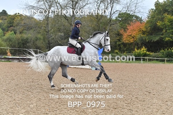 BPP_0975 - CLASS 10 SUN Senior BritiNovice/ 90cm Open