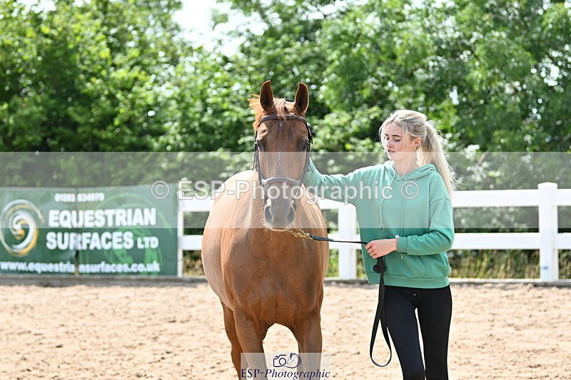 240717A-145016-02330 - Trot Up 2pm to 3pm - This folder is not in time order